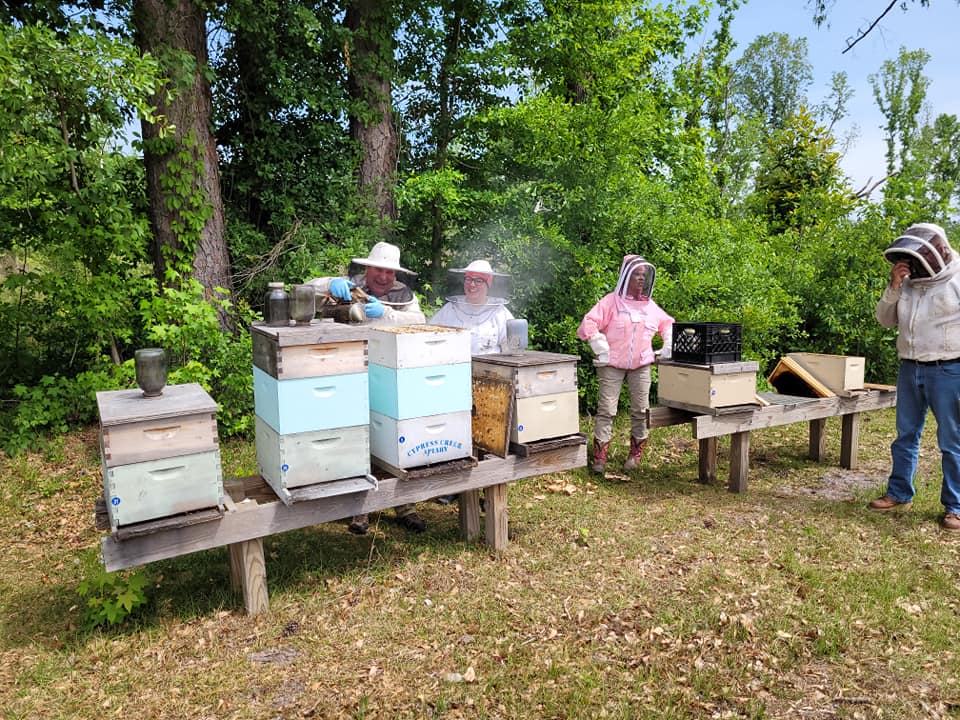 Bee keeping