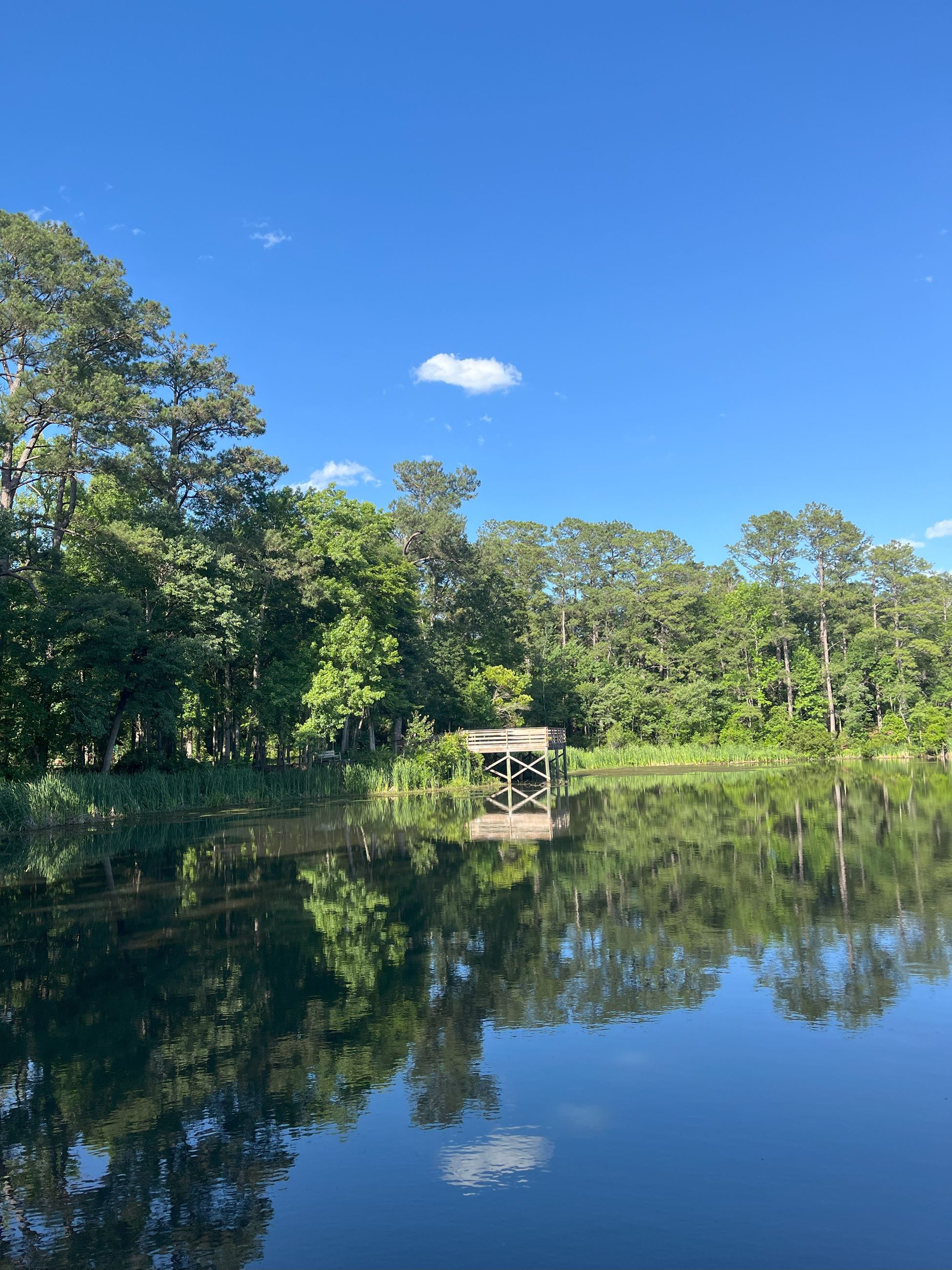 millers pond park pond millers pond park pond